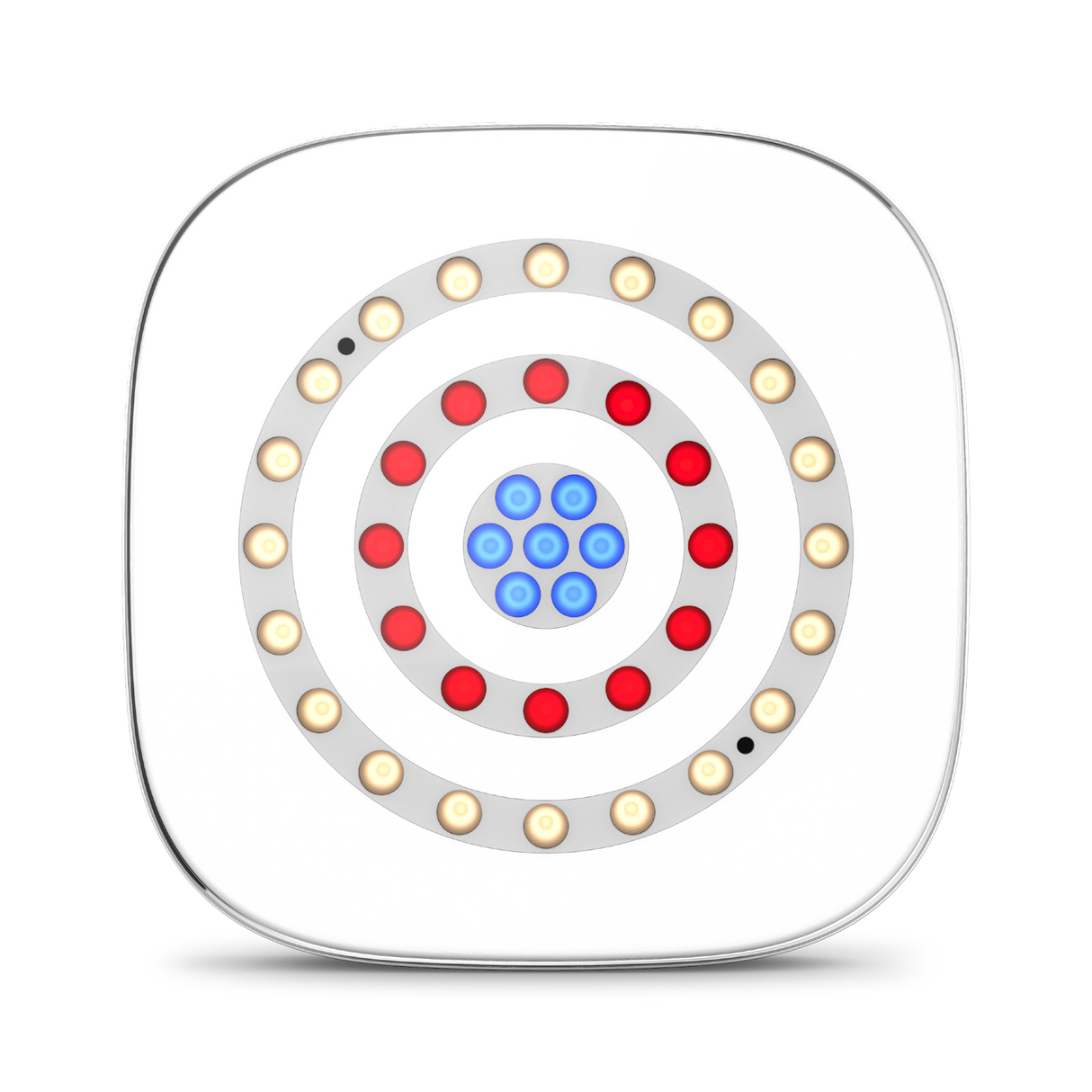 Chauvet DJ Freedom Centerpiece Multi-Color Wireless Uplight 4-Pack System