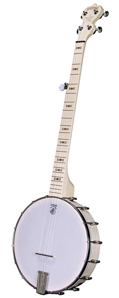 Deering Goodtime 5 String Banjo