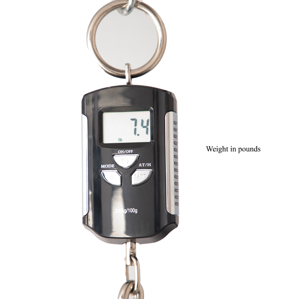 PRS S2 Custom 24 Electric Guitar - Satin Mint Metallic Custom Color - New