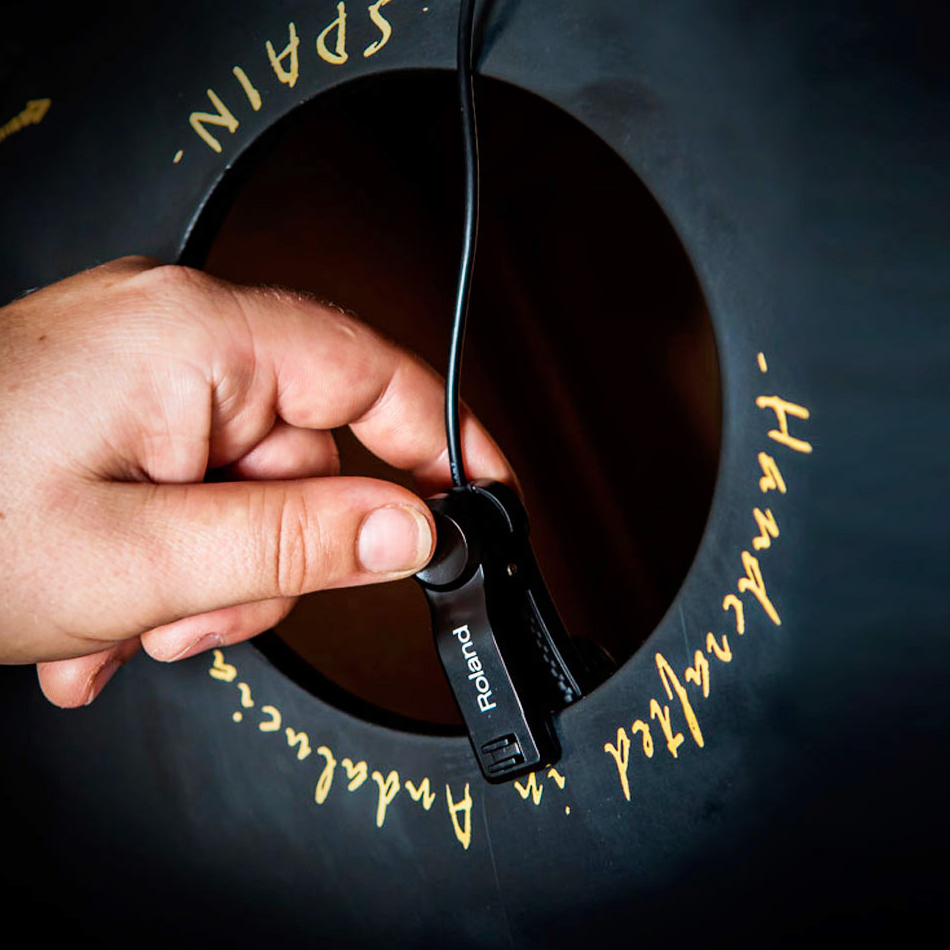 Roland EC-10M EL Cajon Mic Processor