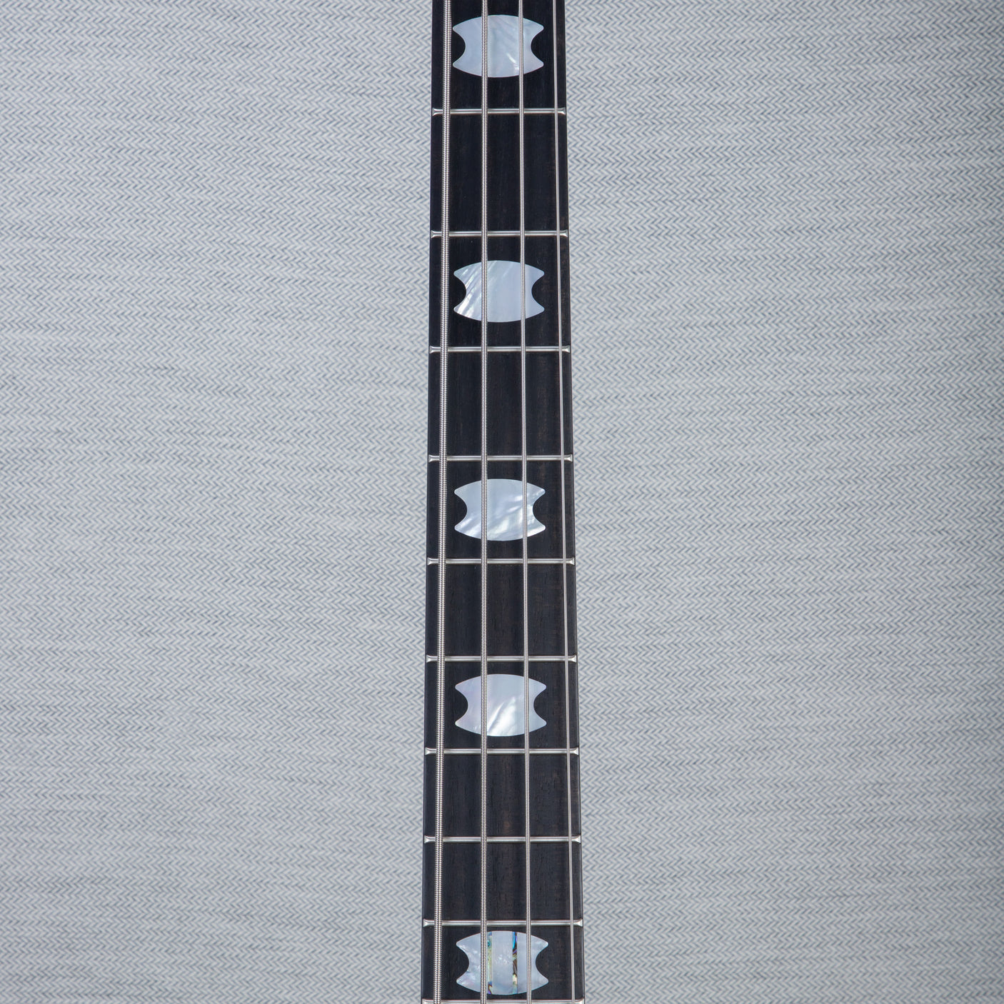 Spector USA Custom NS-2 Legends of Racing Limited Edition Bass Guitar - “The Lion” - CHUCKSCLUSIVE - #1597