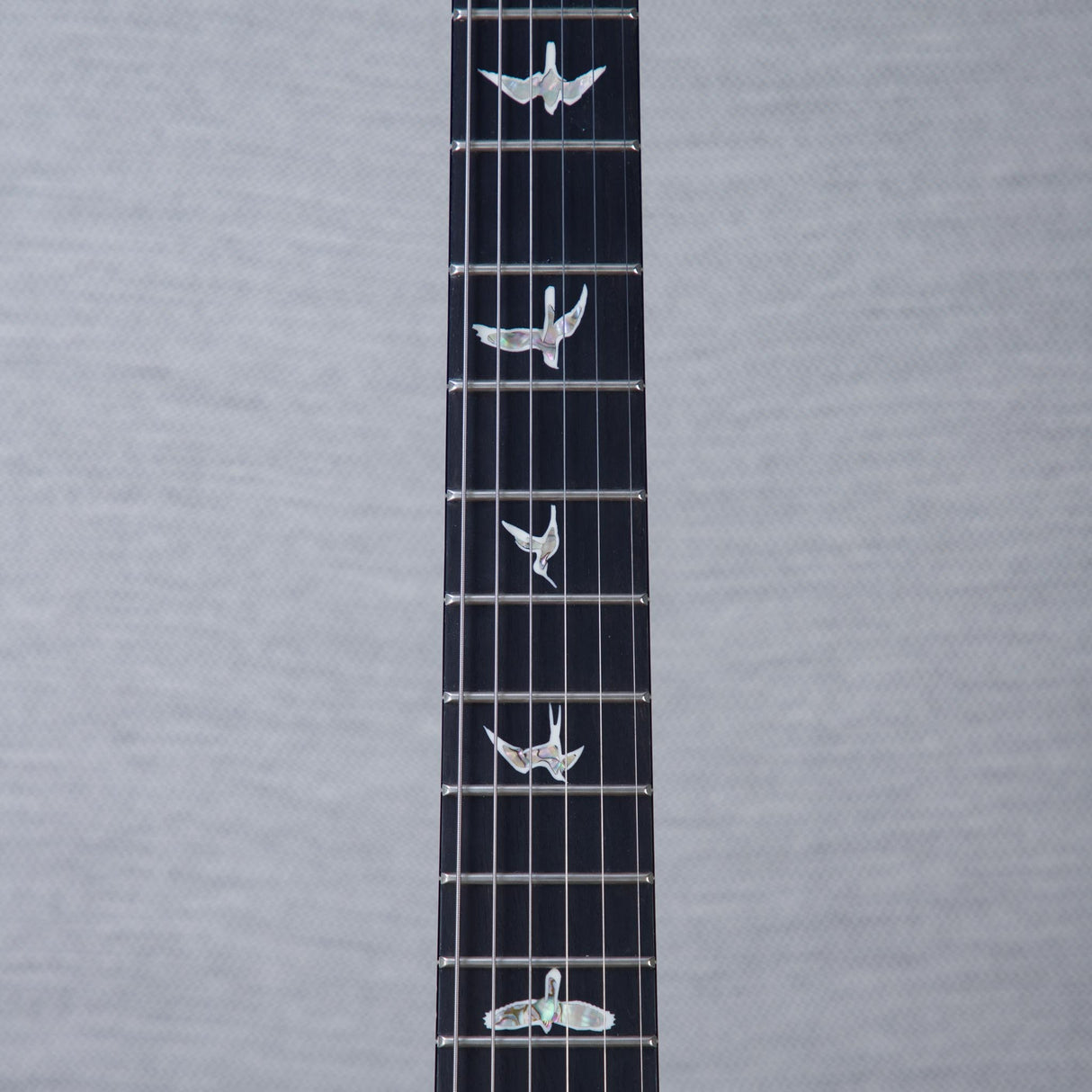 PRS Custom 24 Floyd 10-Top Electric Guitar - Aurora Borealis - #250407026