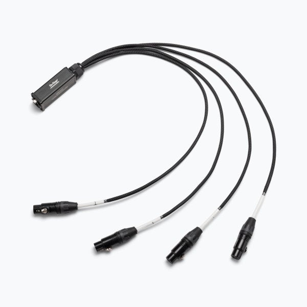 On-Stage Production-Grade SNK4CF Snake Cable Female