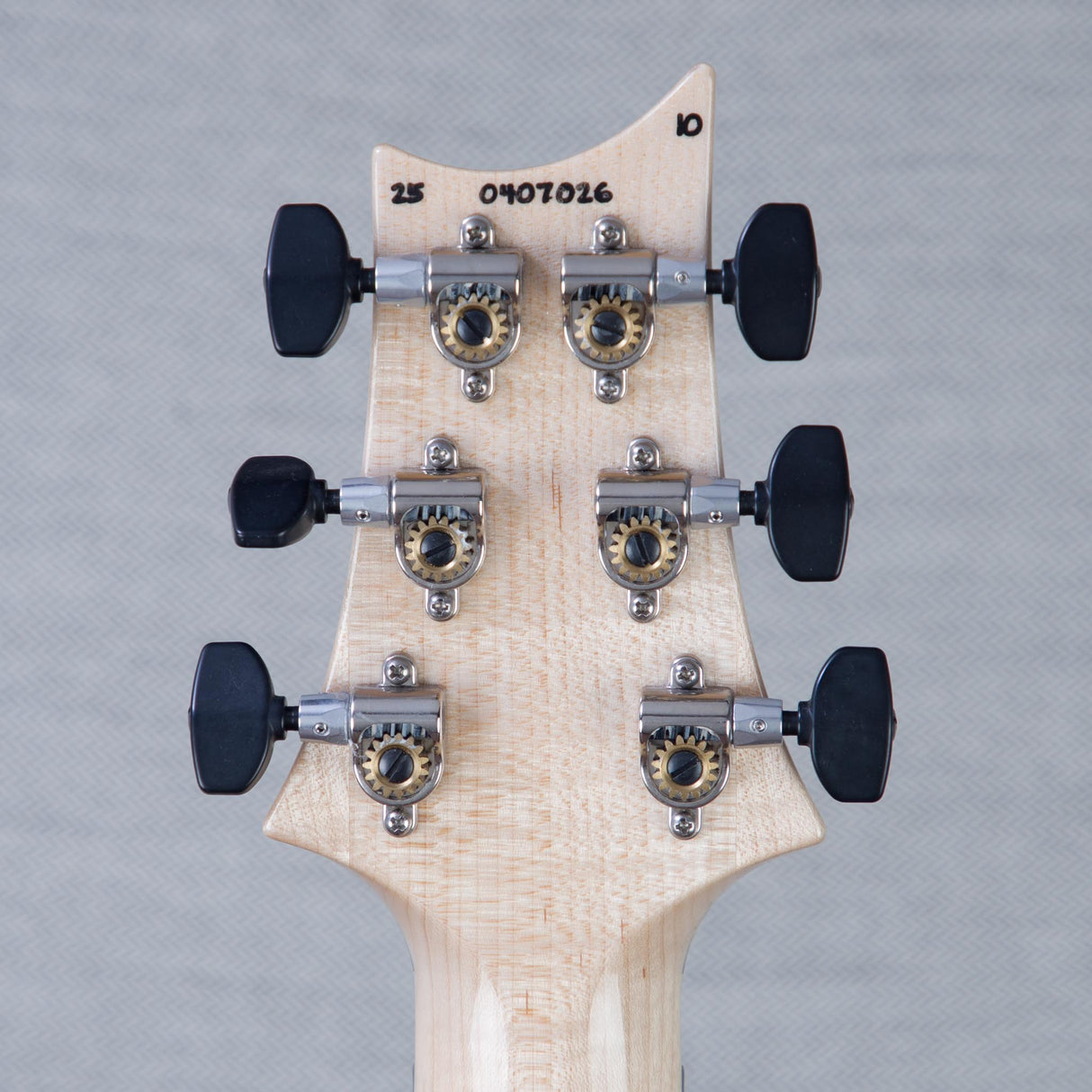PRS Custom 24 Floyd 10-Top Electric Guitar - Aurora Borealis - #250407026
