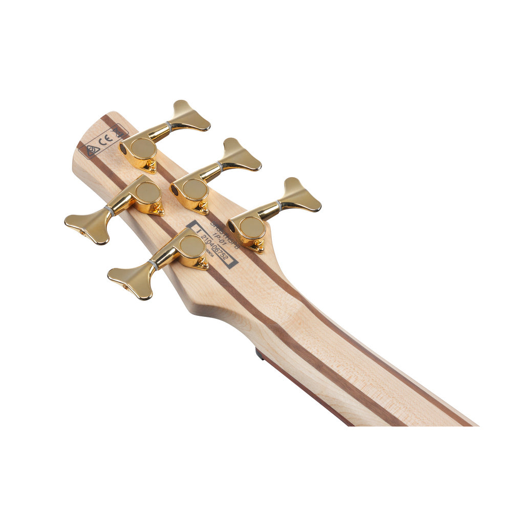 Ibanez 2022 SR405 SR Standard 5-String Bass Guitar - Tropical Seafloor Burst - New