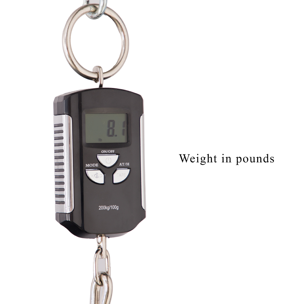 Spector Euro 4 LT Bass Guitar - Grand Canyon Gloss - CHUCKSCLUSIVE - #21NB18451