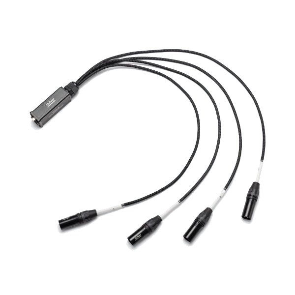 On-Stage Production-Grade SNK4CM Snake Cable Male