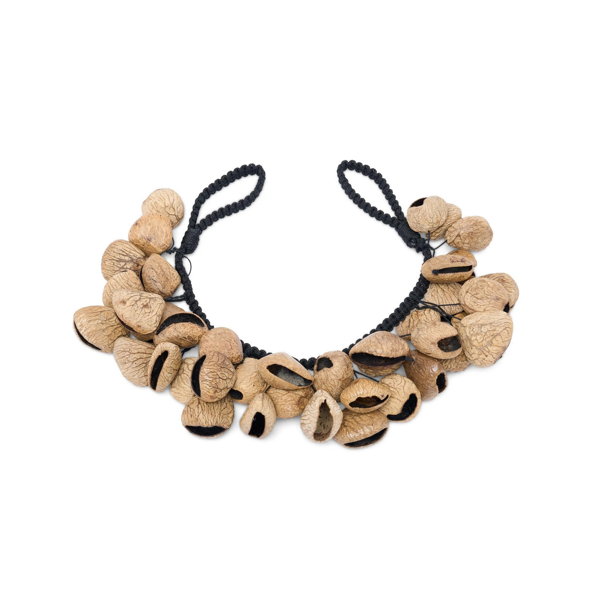 Latin Percussion Pangi Nut Pod Waterfall Rattle