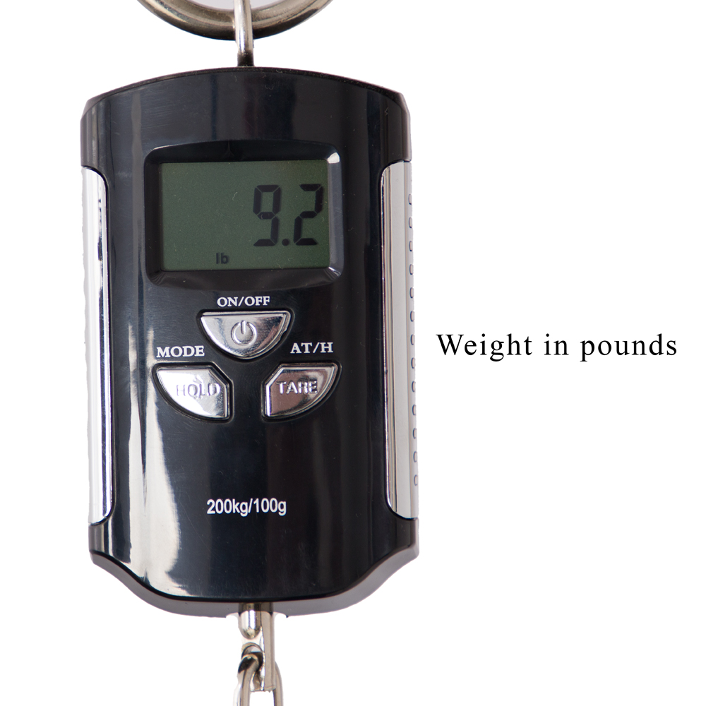 Spector Euro 5 LT 5-String Bass Guitar - Grand Canyon Gloss - CHUCKSCLUSIVE - #21NB18473