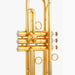 Scodwell Mike Vax Model Bb Trumpet