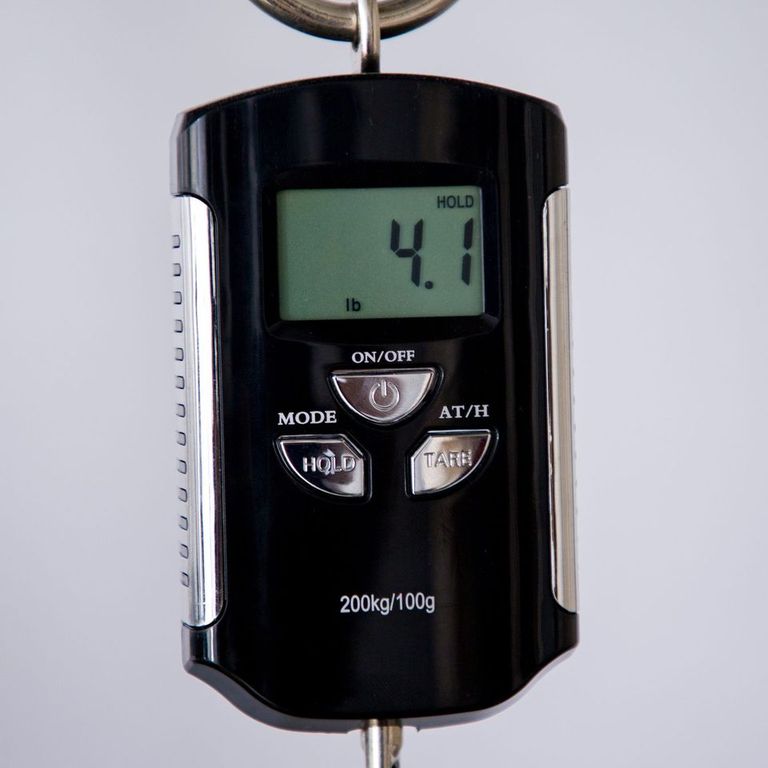 Bedell Seed to Song Parlor Acoustic Guitar - Quilt Bubinga and Sitka Spruce - Triple Burst Finish - CHUCKSCLUSIVE - #1222003