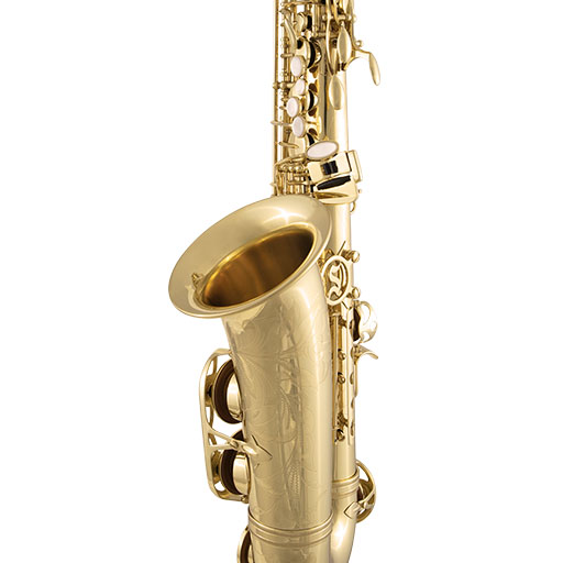 Selmer SAS711 Professional Alto Saxophone - Clear Lacquered