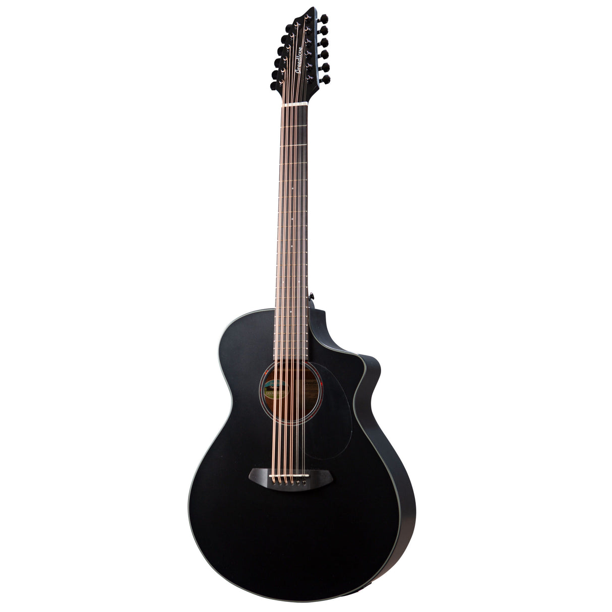 Breedlove Discovery S Concert Double Course 12-String Acoustic Electric Guitar - Satin Black
