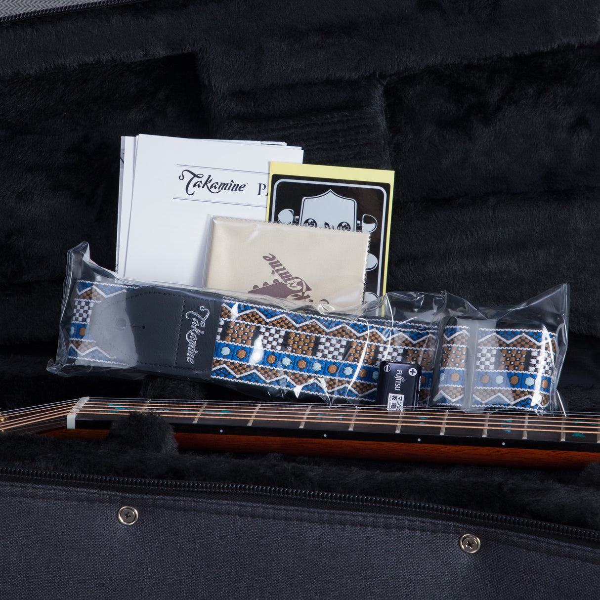 Takamine Limited Edition 30th Anniversary Santa Fe Acoustic Electric Guitar - Natural