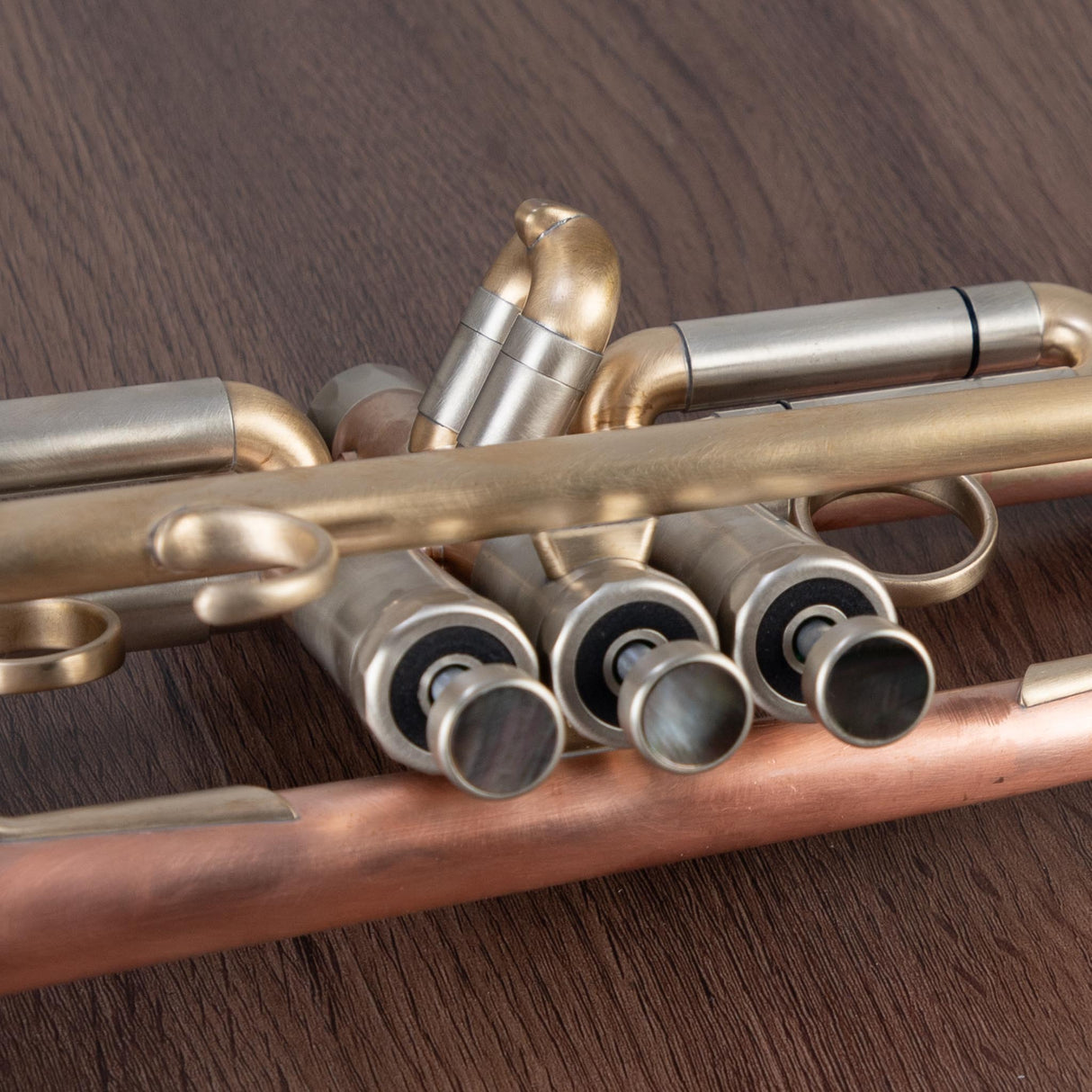 Lotus Solo Bb Trumpet