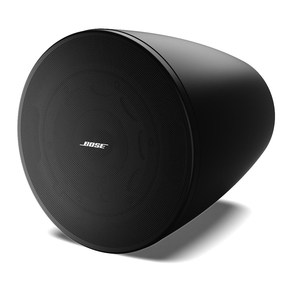 Bose DesignMax DM6PE Loudspeaker Pair - Black