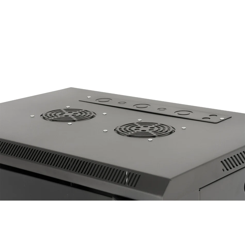 Gator GRW1009509 9U Fixed Wall Rack with Glass Door