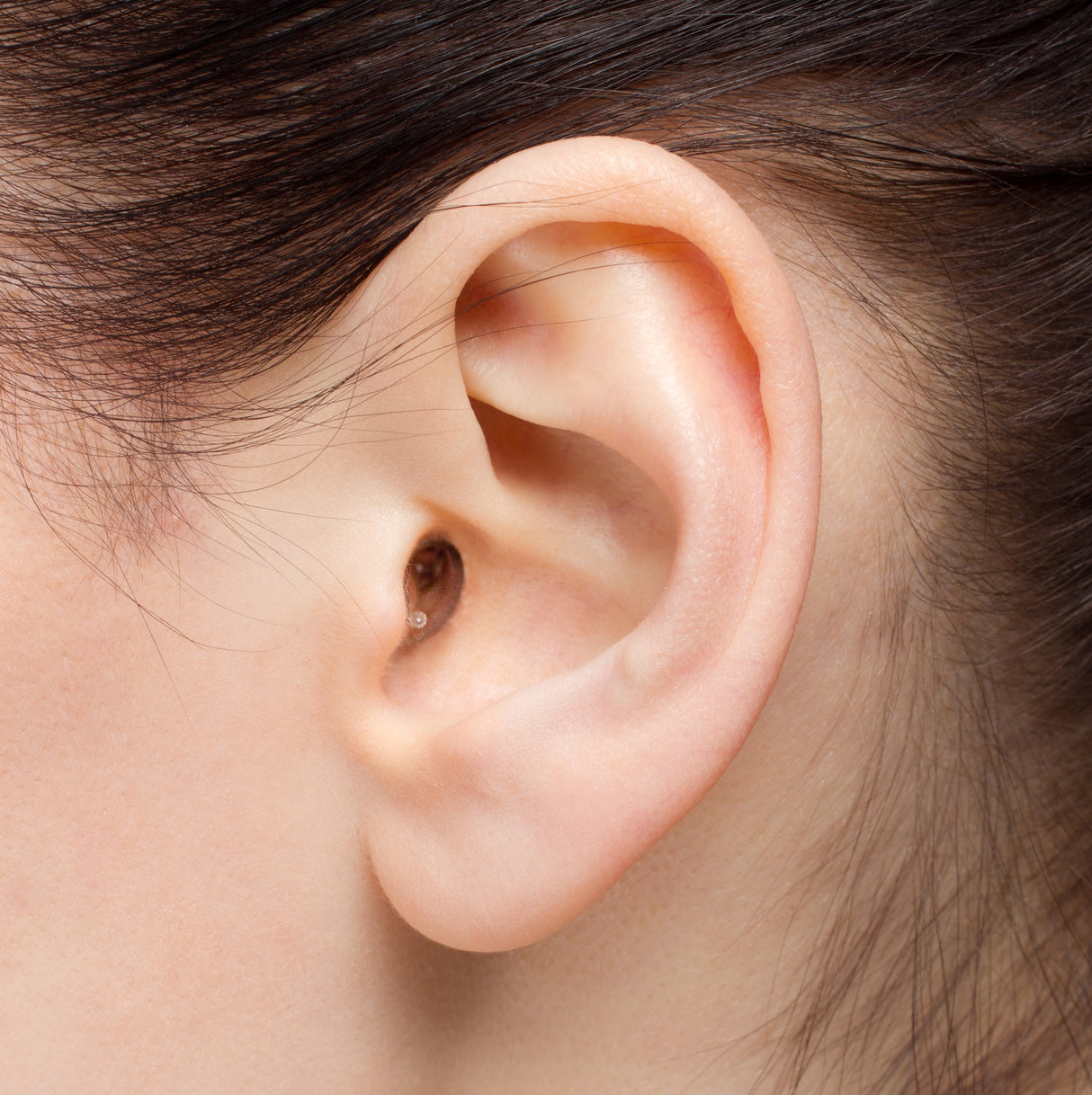 EARasers M1-S Musicians Plugs - Small Earplugs