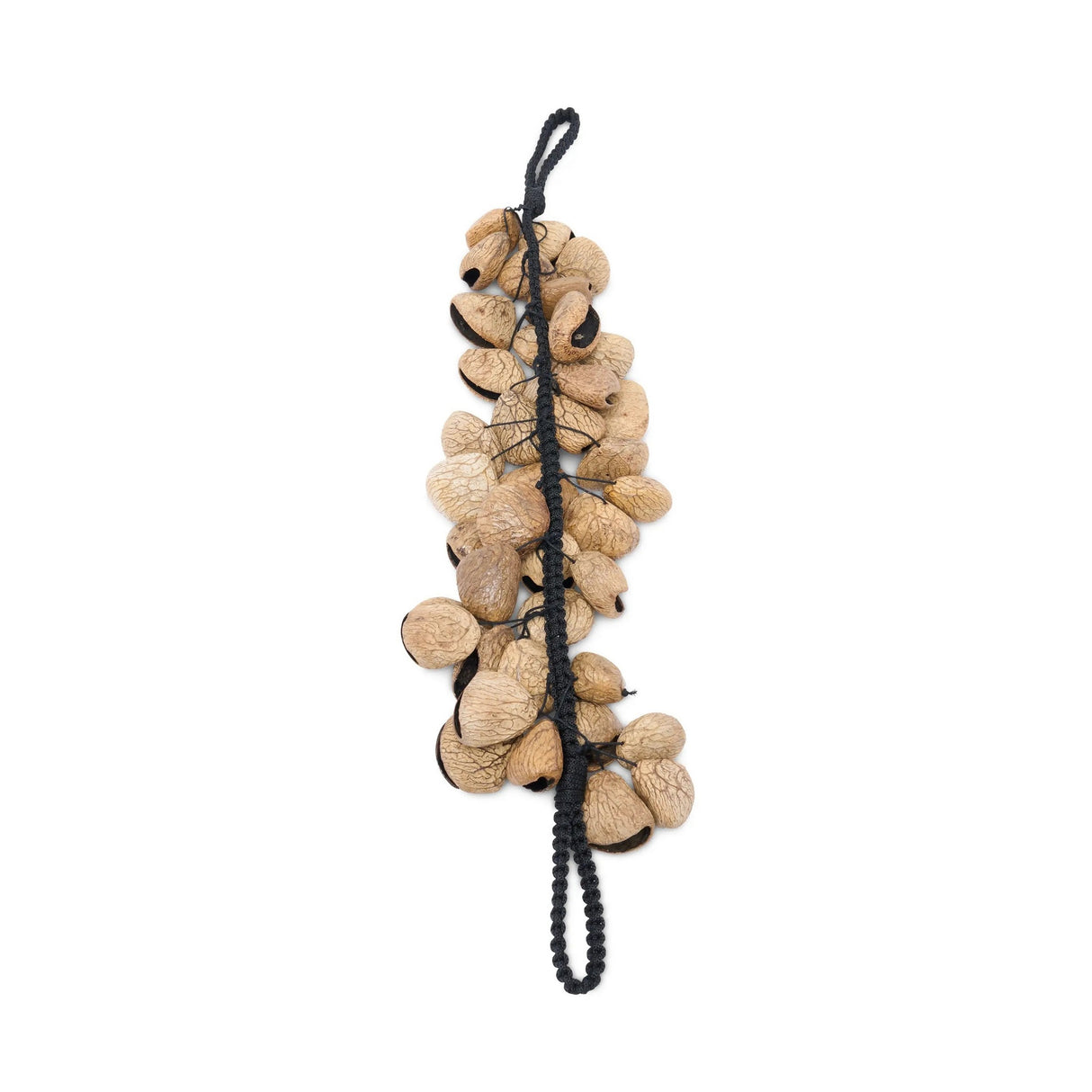 Latin Percussion Pangi Nut Pod Waterfall Rattle
