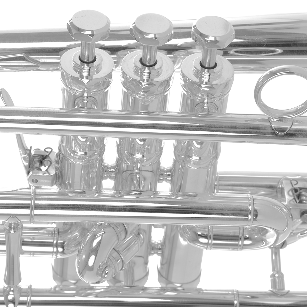 Schagerl Signature Series Hans Gansch Bb Cornet - Silver Plated