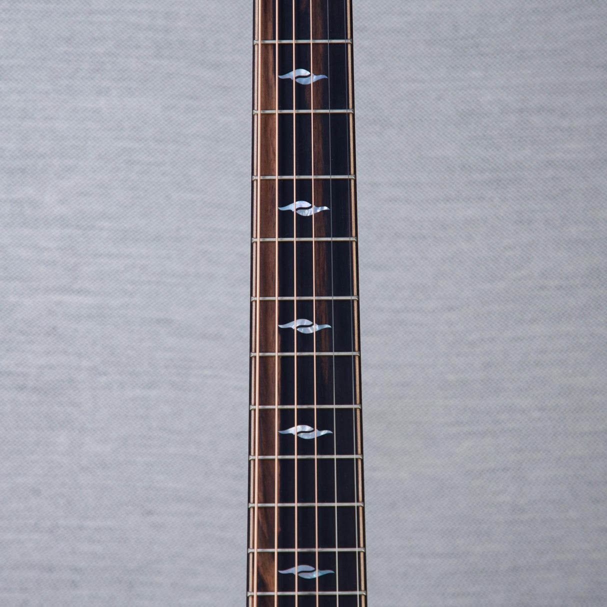 Taylor Limited Edition 814ce Cocobolo/Spruce Acoustic Electric Guitar - #1201196089