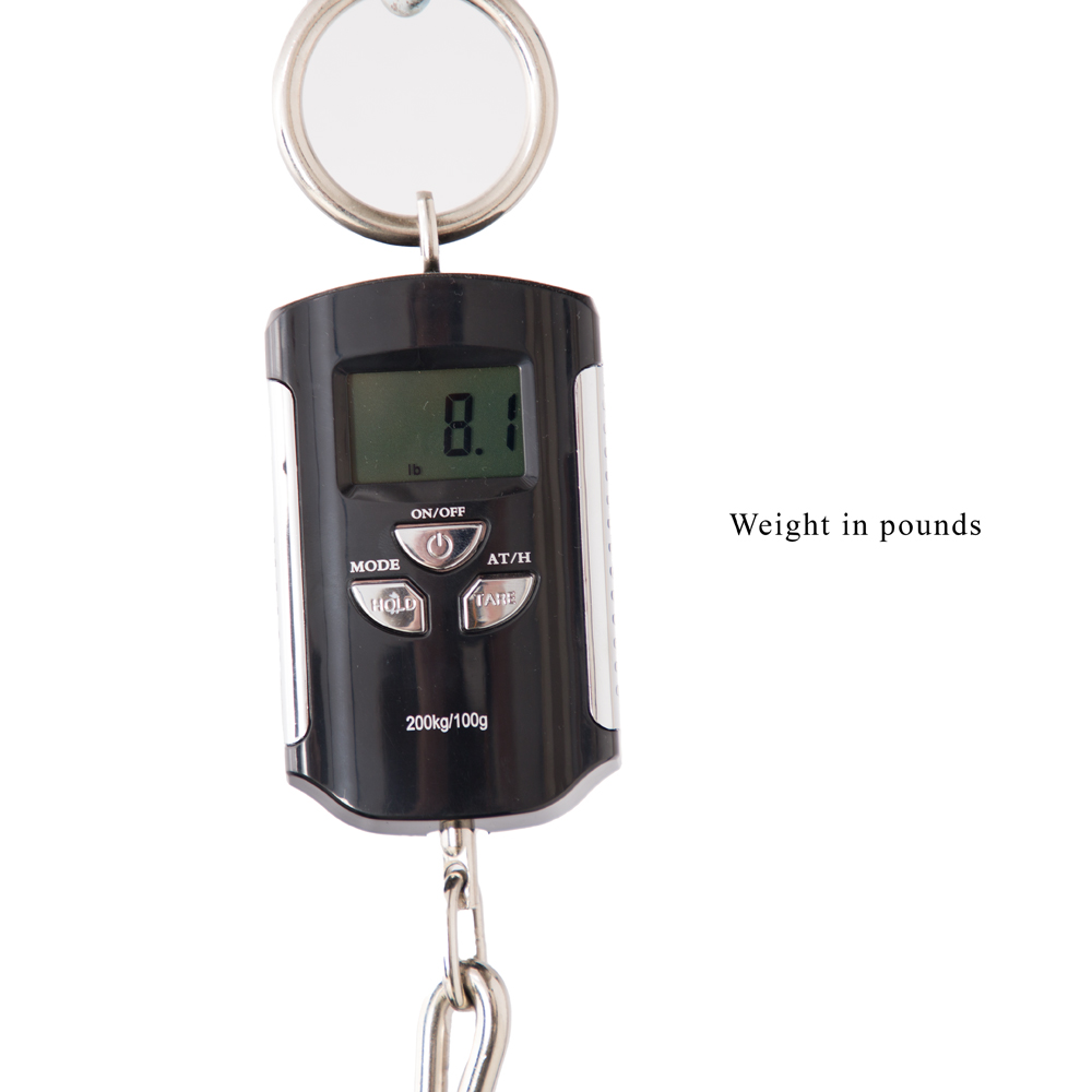 Spector Euro 4 LT Bass Guitar - Grand Canyon Gloss - CHUCKSCLUSIVE - #21NB18452