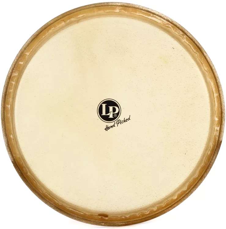 Latin Percussion Classic Conga Head
