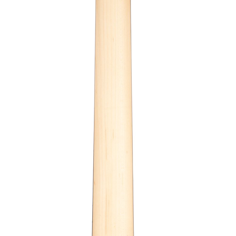 ESP USA Limited Edition TE-II Hardtail Electric Guitar - Snake Skin - #US21176