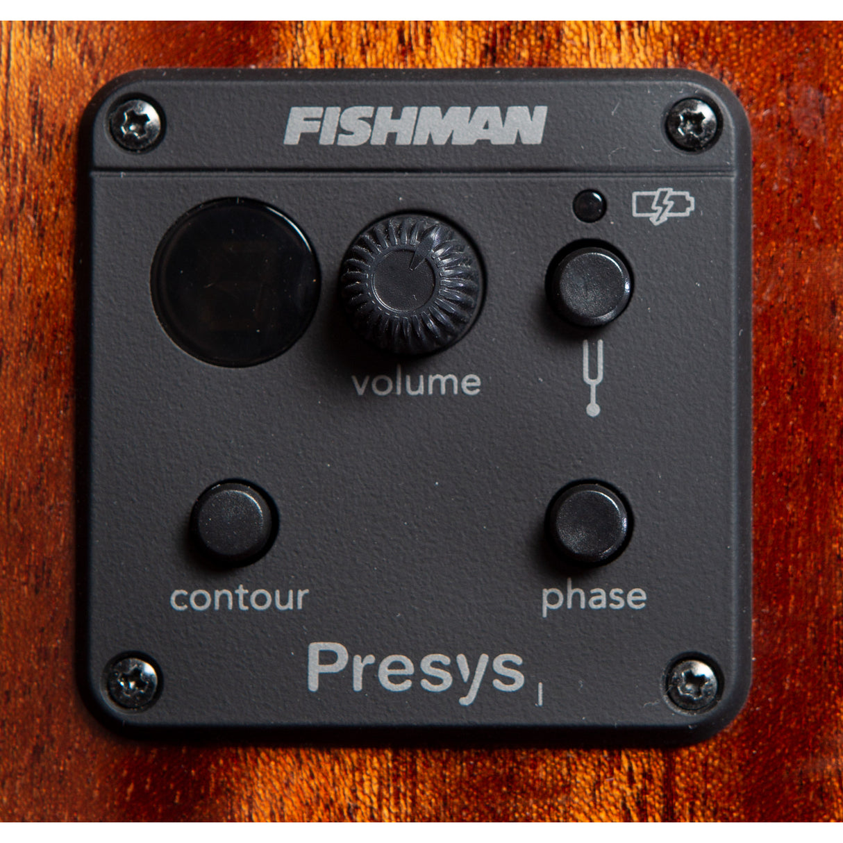 Breedlove Discovery S Concert Nylon String Acoustic Electric Guitar