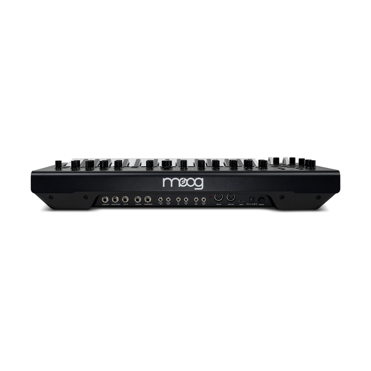 Moog Messenger Monophonic Analog Synthesizer - New