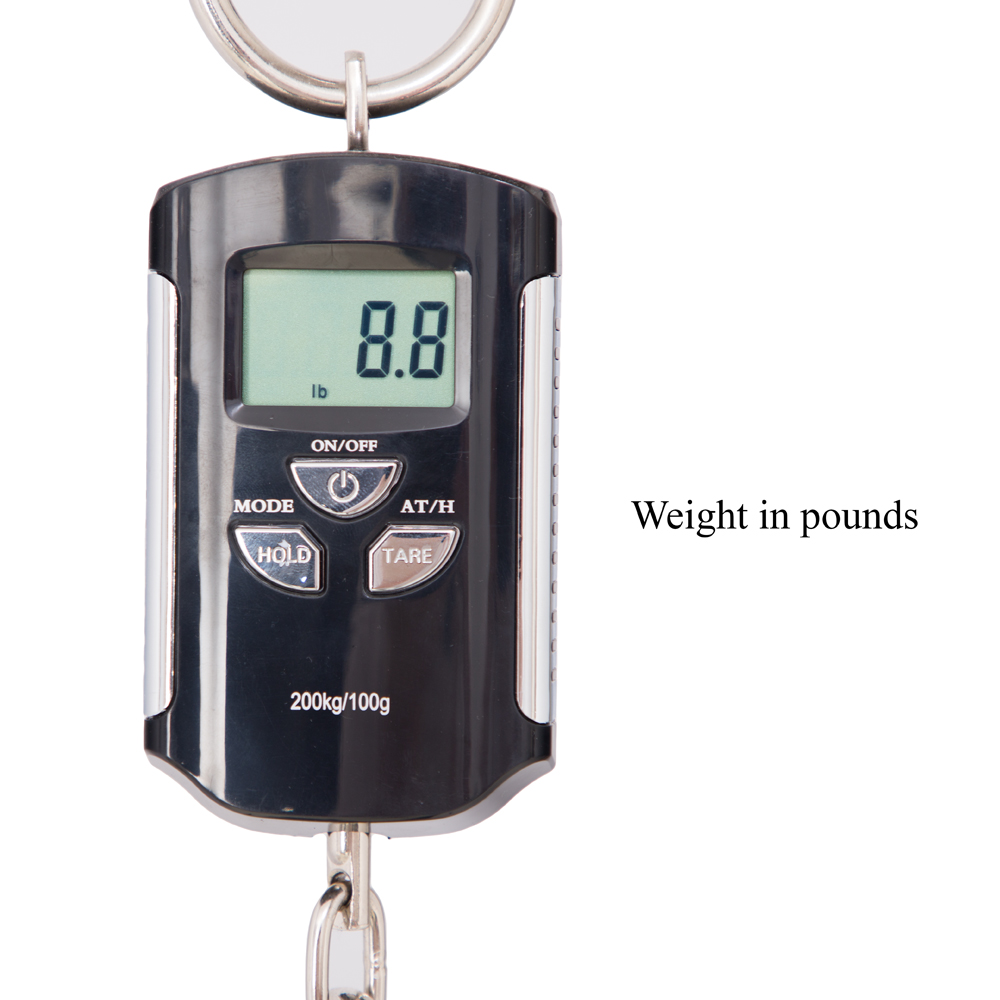 Spector Euro 5 LT 5-String Bass Guitar - Natural Matte - CHUCKSCLUSIVE - #21NB18464