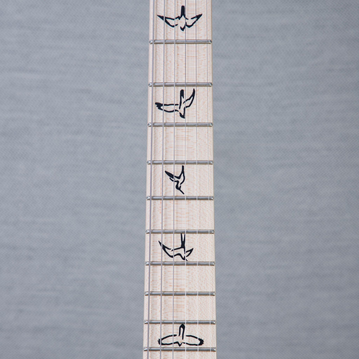 PRS Swamp Ash Special Custom Color Electric Guitar - Swamp Burst - #0421567