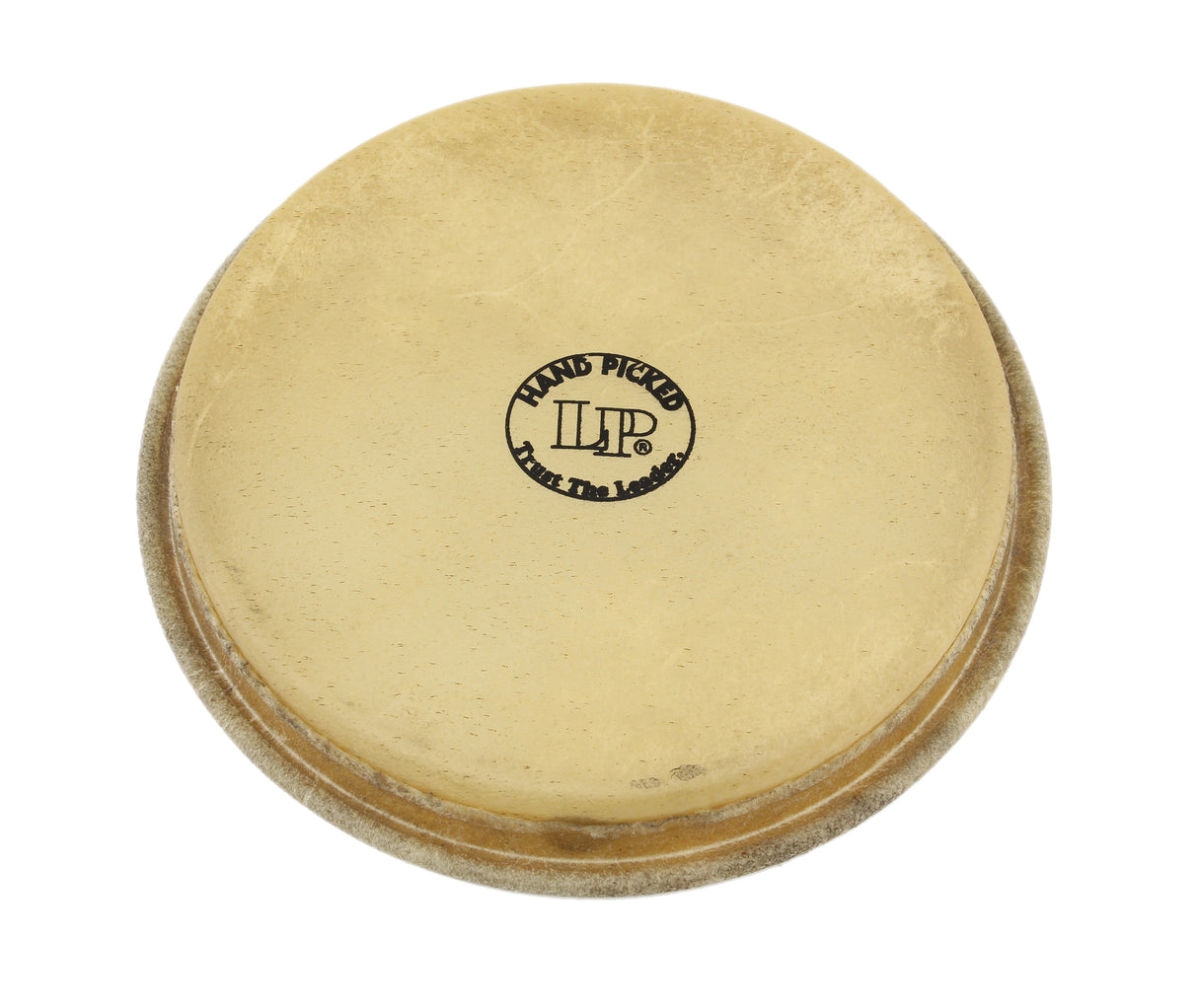 LP LP264F Large Head For 1964 Bongos