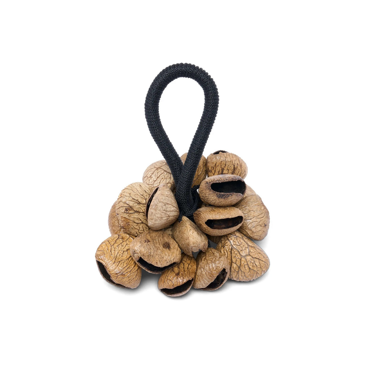 Latin Percussion Pangi Nut Shaker Rattle with Handle