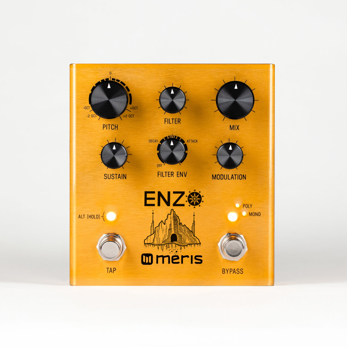 Meris Enzo Multi-Voice Instrument Synthesizer Pedal