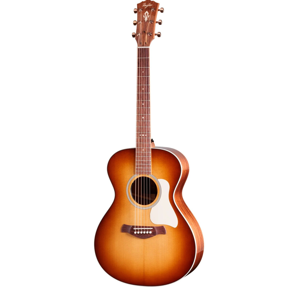 Taylor Ben Harper Gold Label 512e Mahogany/Spruce Signature Acoustic Electric Guitar