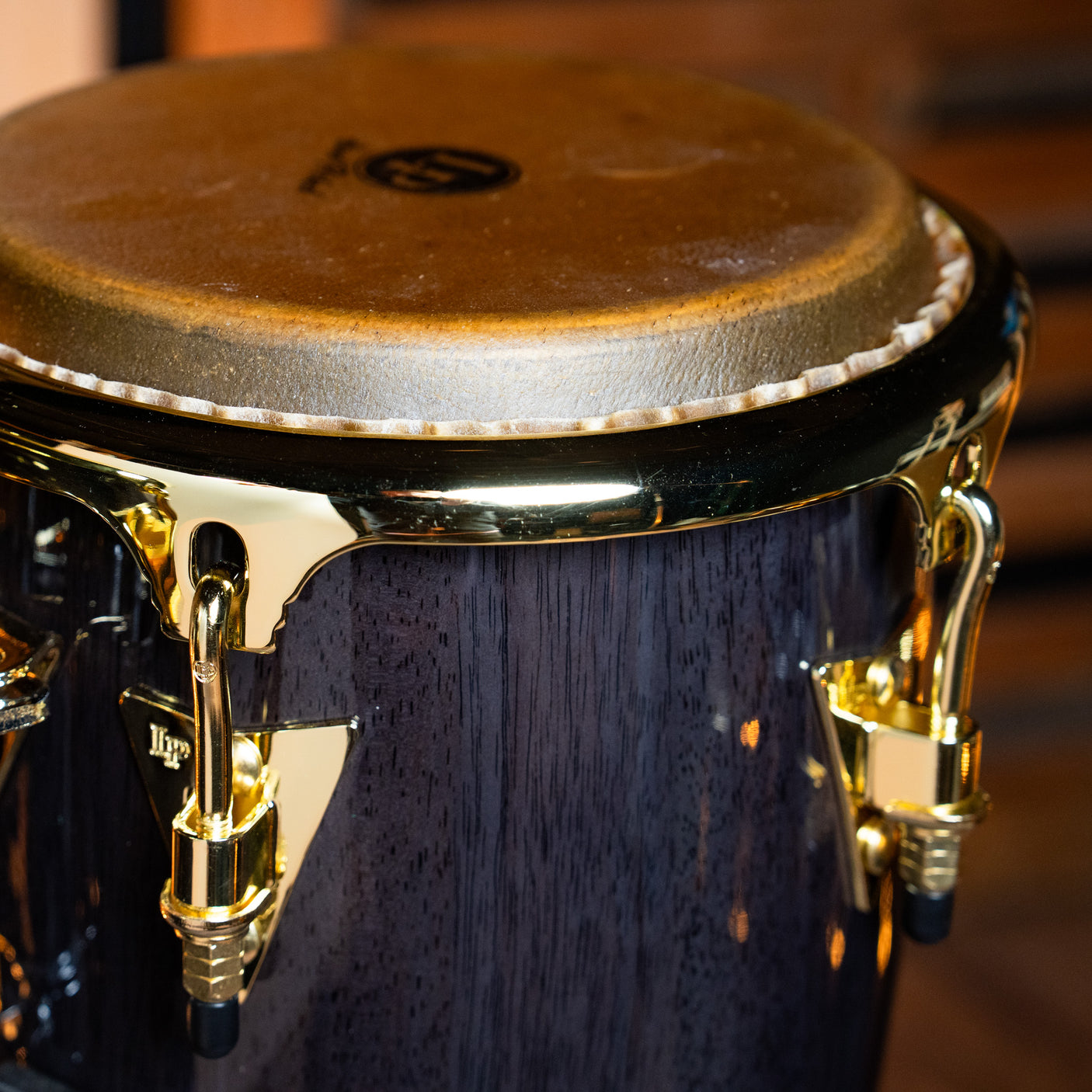 Latin Percussion Junior Conga Set - Black Wood With Gold Hardware - CHUCKSCLUSIVE