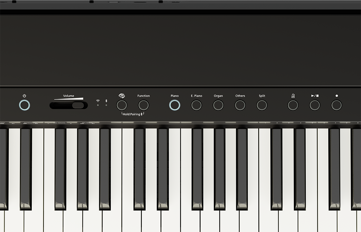 Roland FP-40-BK Digital Piano - Black