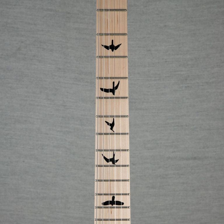 PRS CE 24 Dustie Waring Signature Floyd Electric Guitar - Black Top