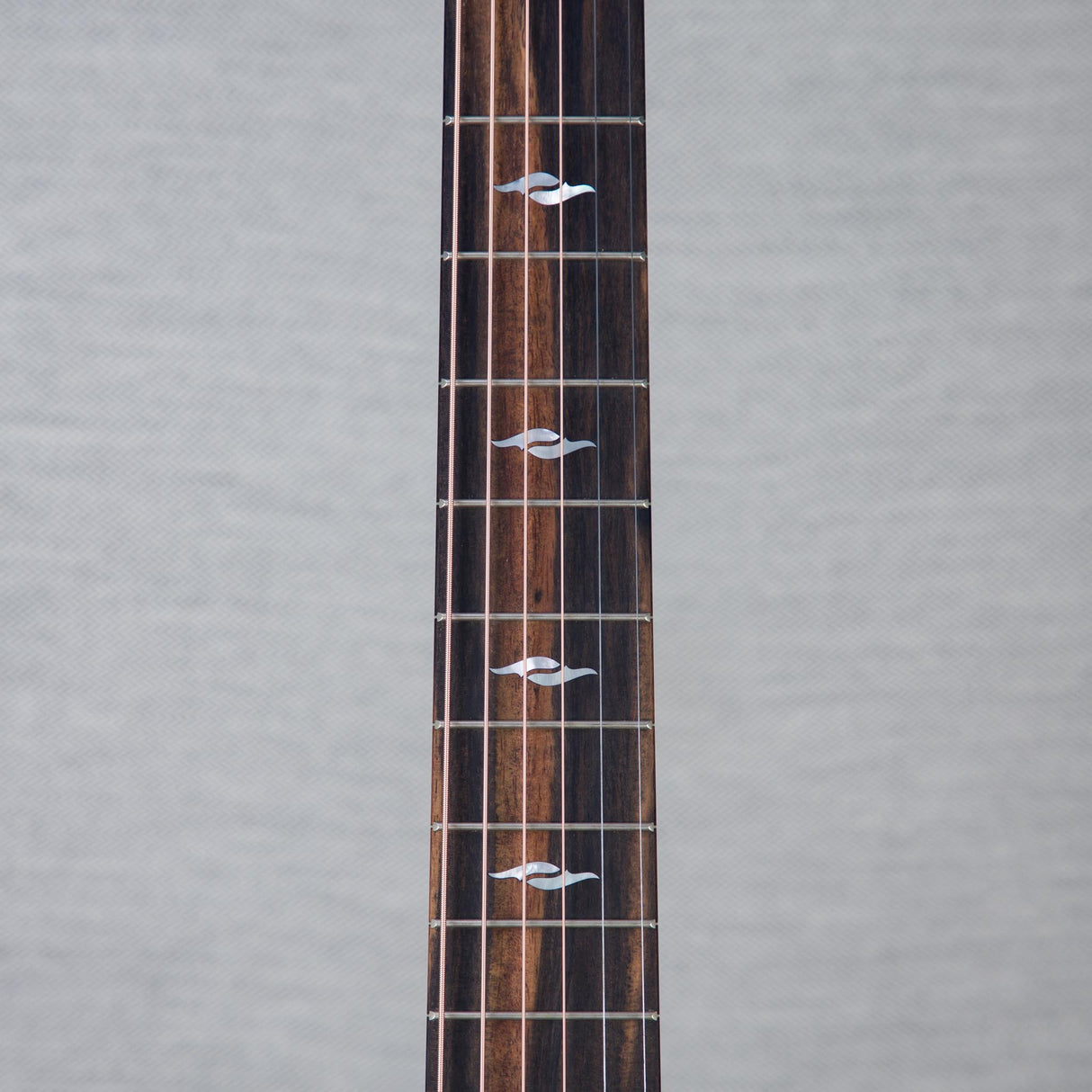 Taylor GT 811e Rosewood/Spruce Acoustic Electric Guitar - #1207103085