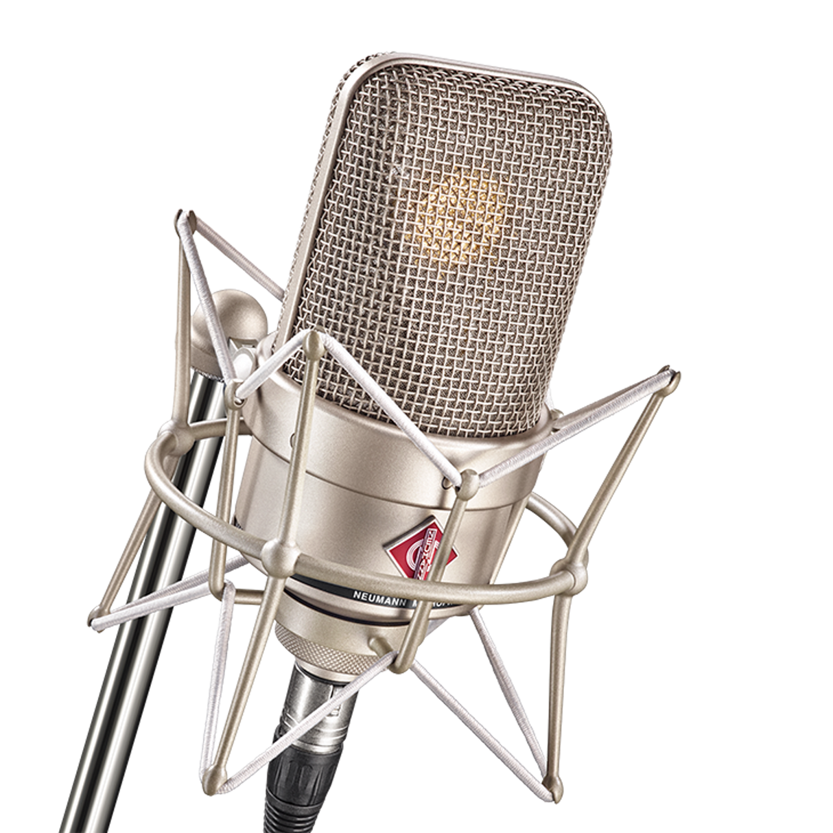 Neumann TLM 49 Cardioid Condenser Microphone With EA 3 Shock Mount - Nickel