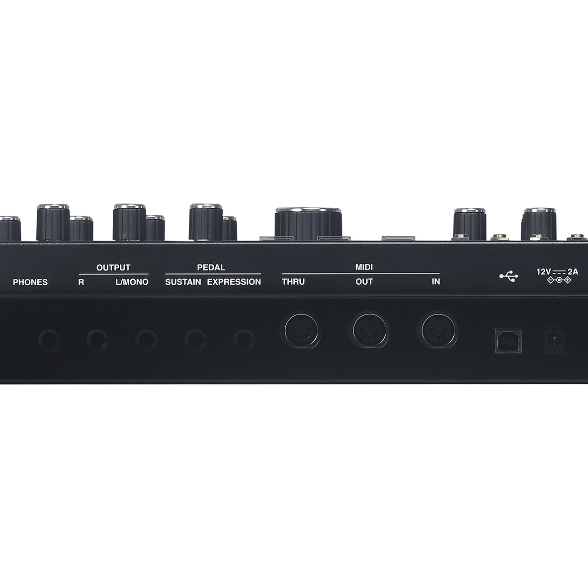 ASM Leviasynth 16-voice Algorithmic Desktop Synthesizer
