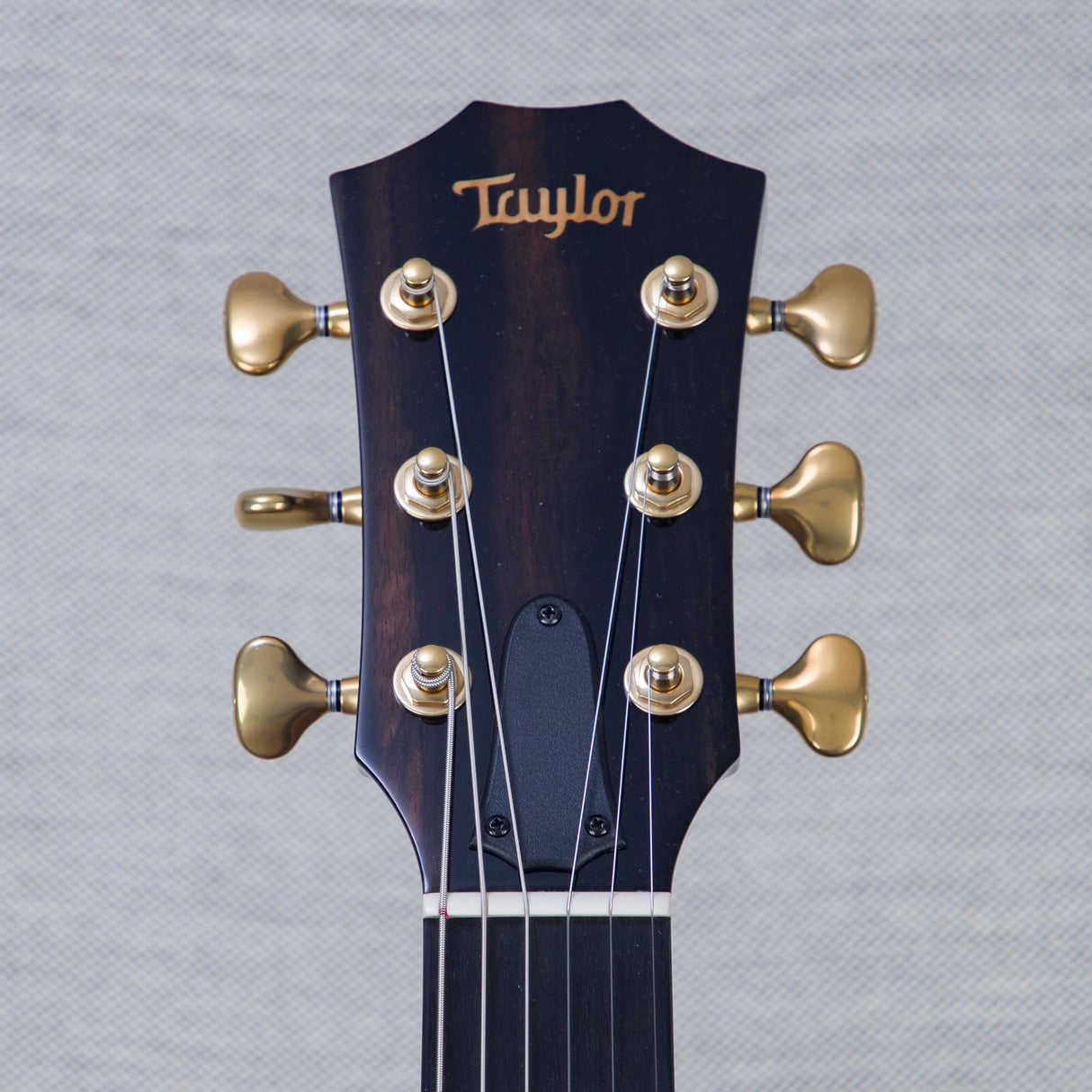Taylor NAMM 2025 Custom Catch #27 T5z Semi-Hollowbody Acoustic Electric Guitar - #1210024105