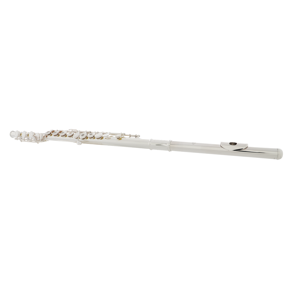 Di Zhao DZ 400BOF Intermediate Flute