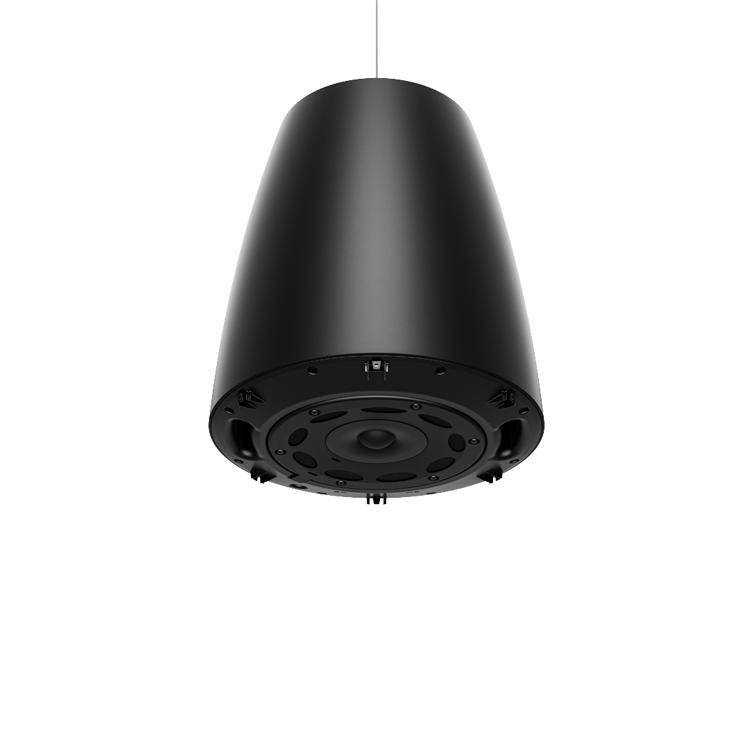 Bose DesignMax DM6PE Loudspeaker Pair - Black