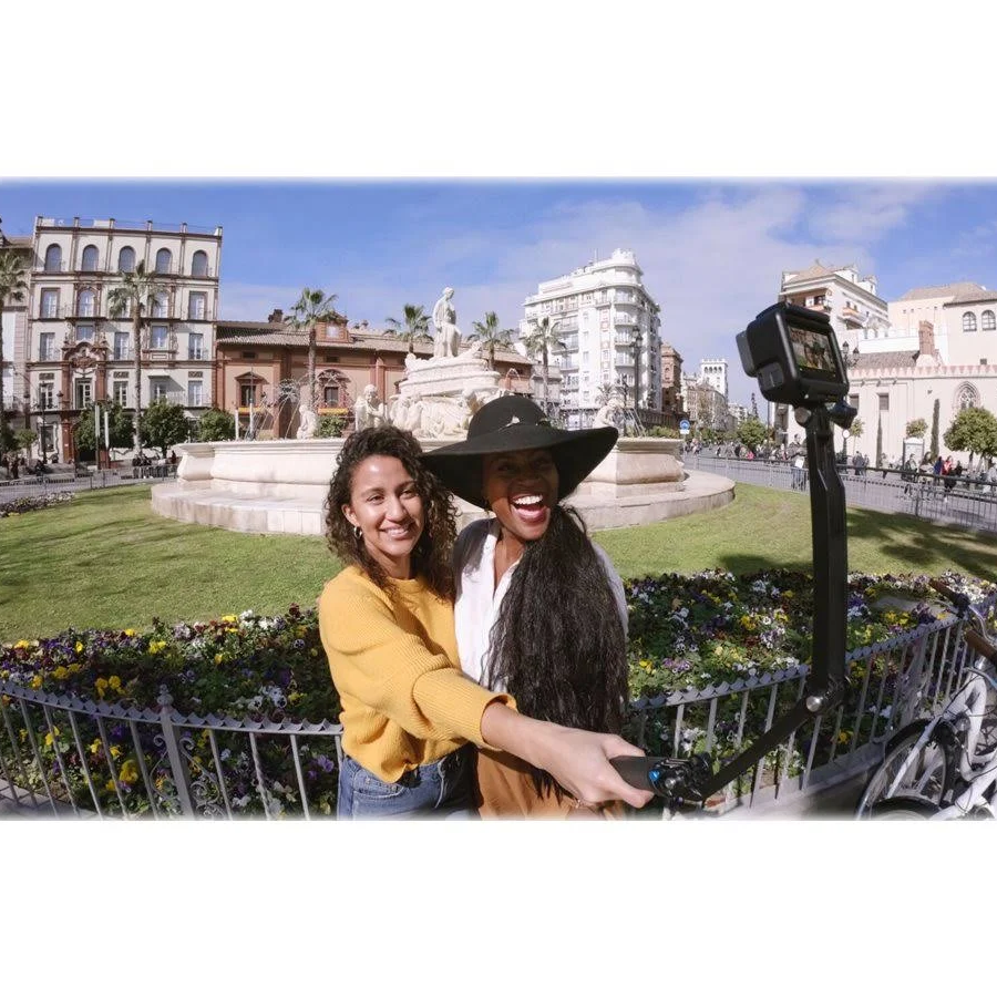 GoPro AFAEM-001 3-Way Camera Mount