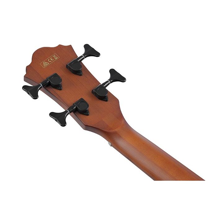 Ibanez AEGB30ENTG Acoustic Electric Bass - Natural High Gloss - New