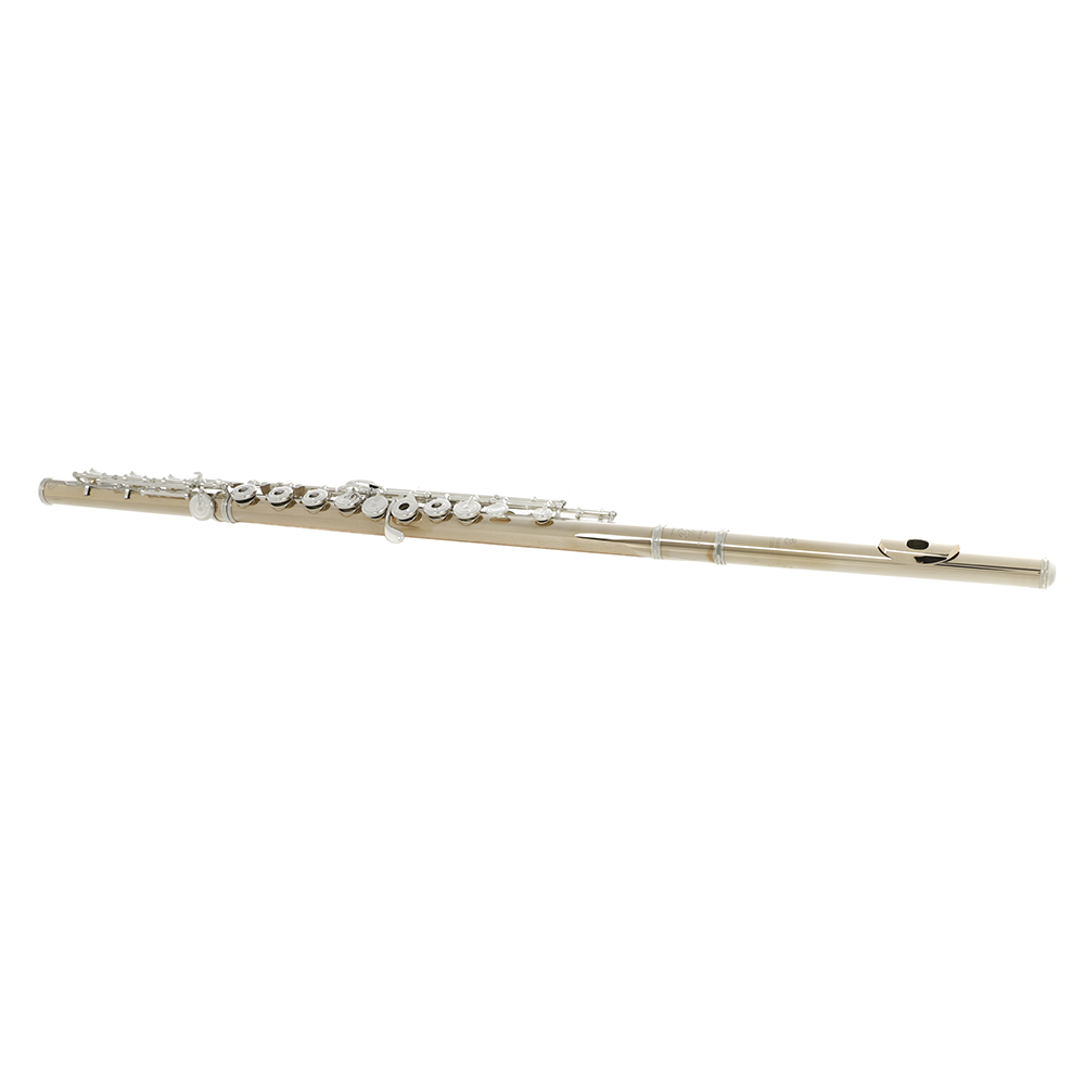 Di Zhao DZ GS-D Professional Flute - 14K Gold-Clad Silver