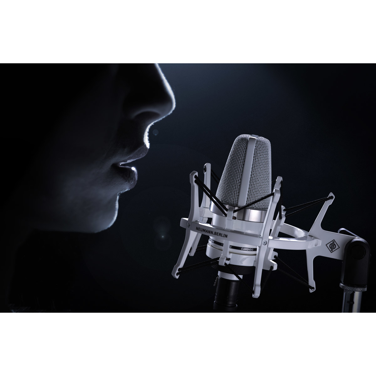 Neumann TLM 102 White Edition Limited-Run Condenser Studio Microphone - New