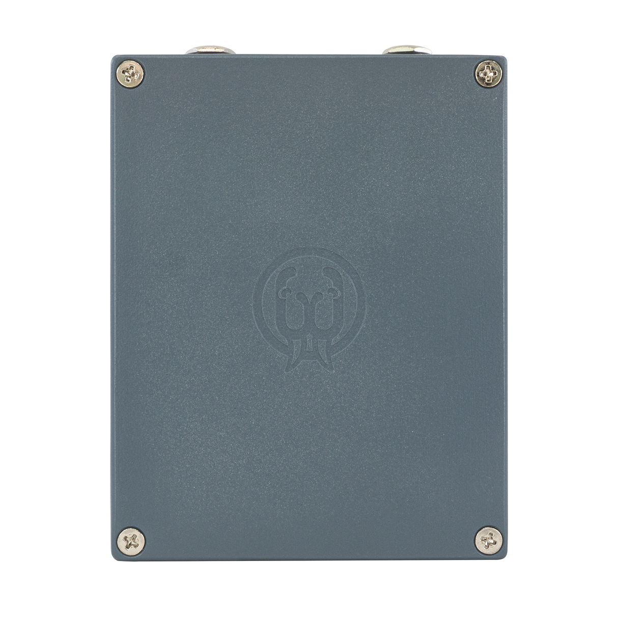 Walrus Audio Fable Granular Soundscape Generator Pedal